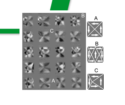 Images showing the domain behavior of permalloy films