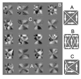 Images showing the domain behavior of permalloy films